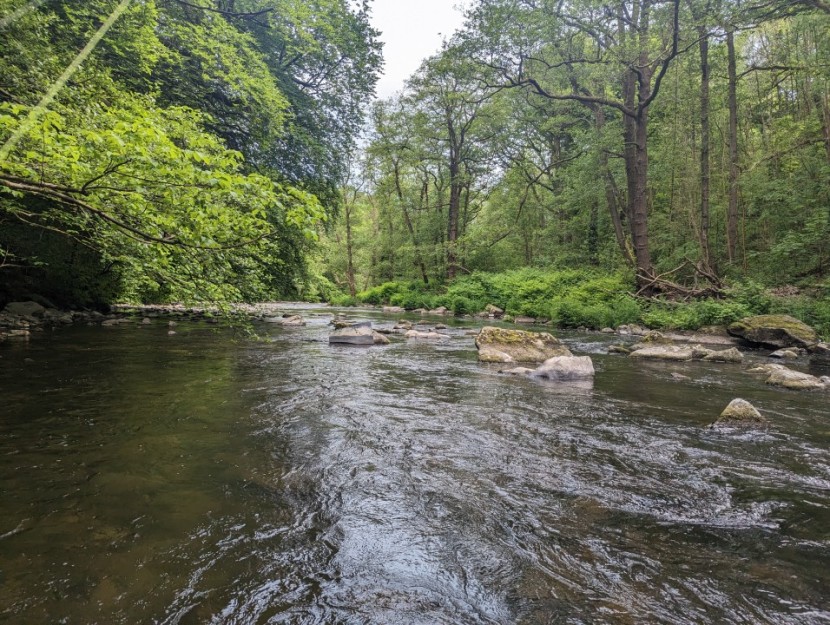 Taff at Merthyr - JH from Bristol